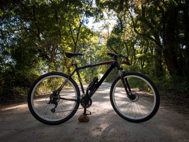istock mountain bike on the road 1247809537