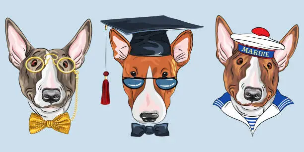 Vector illustration of Set Bullterrier dogs