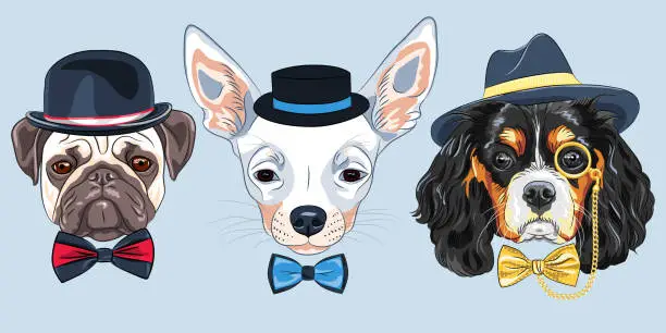 Vector illustration of vector Set of cartoon hipster dogs