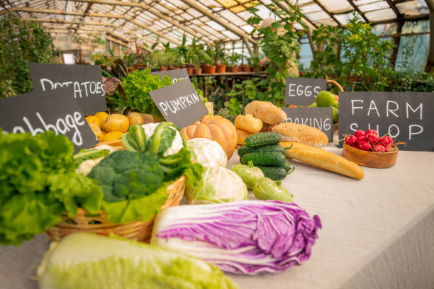 istock Organic food counter 1247828157