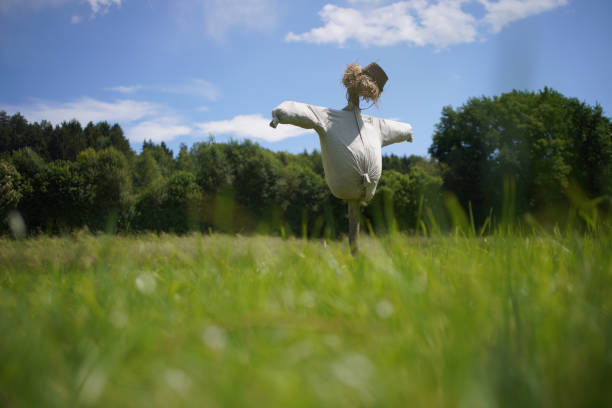 istock Scarecrow filled with straw in a field with cloudy skies 1247829454