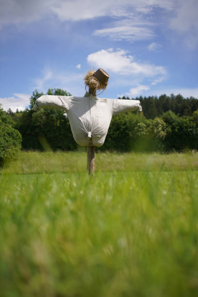 istock Scarecrow filled with straw in a field with cloudy skies 1247829521