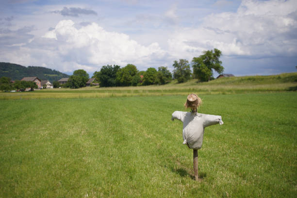 istock Scarecrow filled with straw in a field with cloudy skies 1247829565