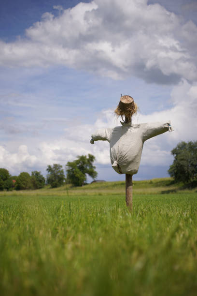 istock Scarecrow filled with straw in a field with cloudy skies 1247829580