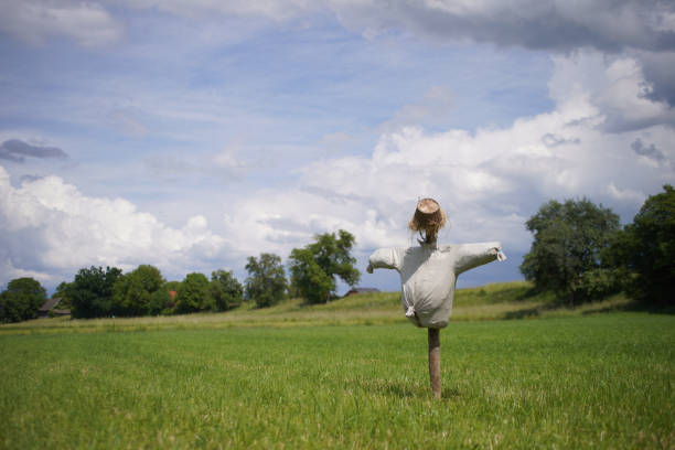 istock Scarecrow filled with straw in a field with cloudy skies 1247830063