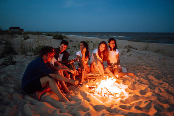 group of young friends sitting on beach and fry sausages. - bonfire beach fire barbecue imagens e fotografias de stock