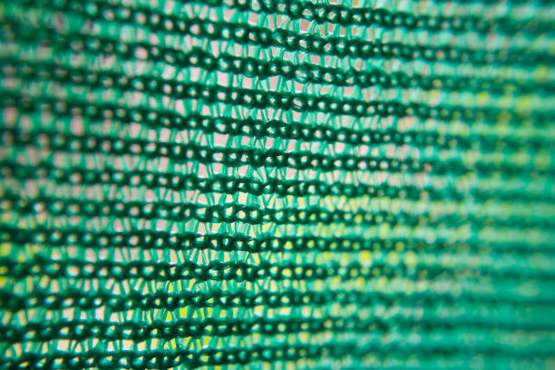 istock Close-up view of the green net. 1247851242