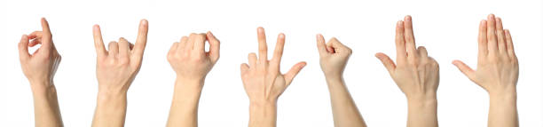istock Collage of different human gestures on white background 1247857806