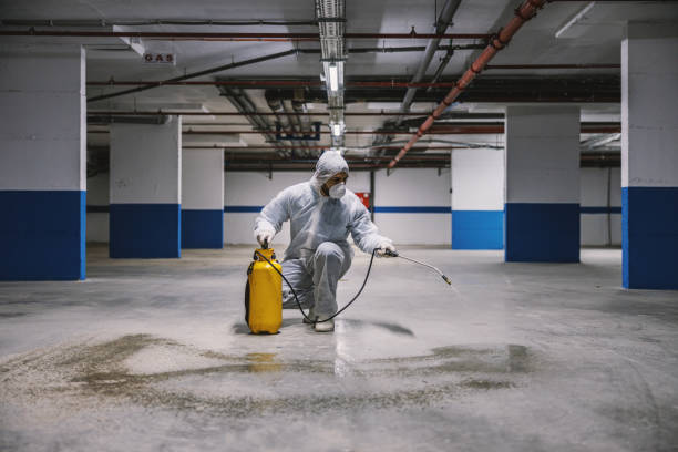 istock Sanitizing interior surfaces, garage. Cleaning and Disinfection inside buildings, the coronavirus epidemic. Professional teams for disinfection efforts. Infection prevention and control of epidemic. Protective suit and mask. 1247863975
