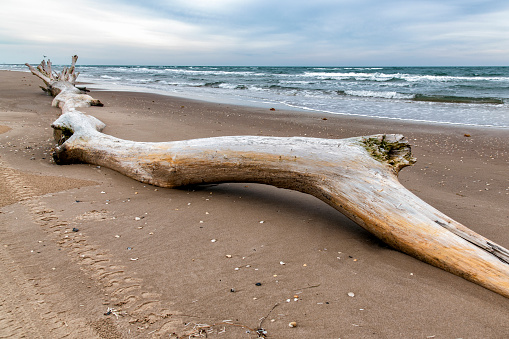 Benguela Eagle shipwreck, , which ran aground in 1973, on the C34-road between Henties Bay and Torra Bay in the Skeleton Coast area of Namibia.  Horizontal.