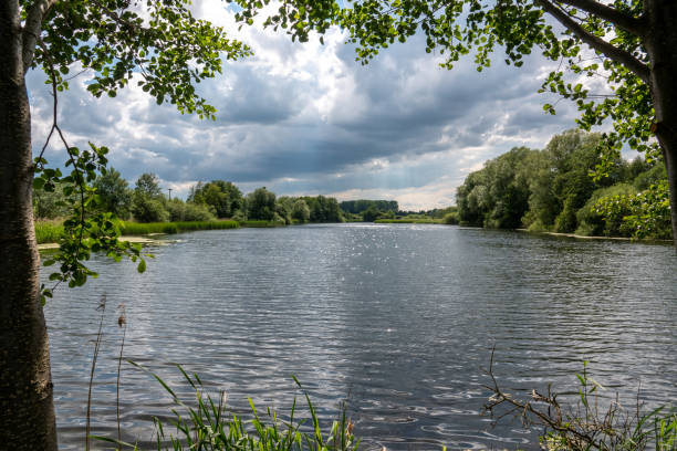 istock pond is surrounded by trees and bushes and the sky is cloudy 1247868603