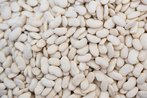 istock Great Northern Beans background. Also called white kidney beans, these beans have a smooth texture, and delicate flavor 1247875519