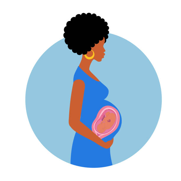 ilustrações, clipart, desenhos animados e ícones de mulher grávida afro-americana segura sua barriga. - adult abdomen blue the human body