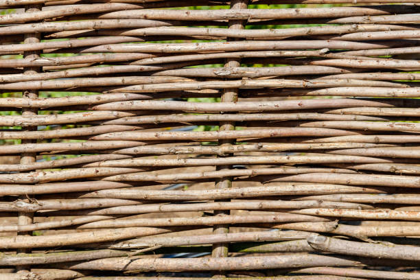 istock Background of the decorative rustic village wicker fence 1247876395