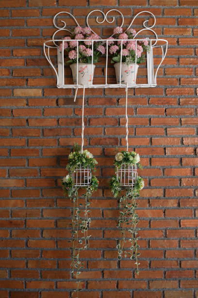 istock Flowers on the Wall 1247876688