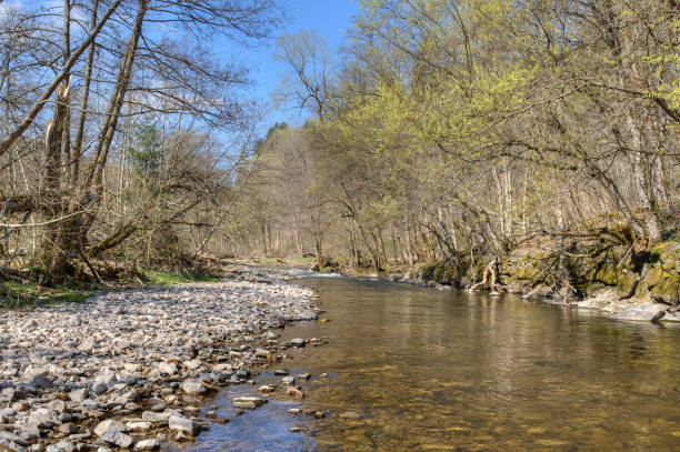 istock Beginning of spring in the Wutach gorge. 1247876747
