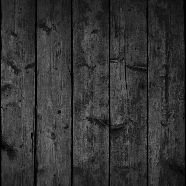 Vector illustration of Black wood texture with realistic natural structure. Blank board composed from clean planks. Empty background in square size format.