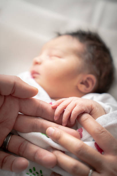 A newborn infant baby girl in a blanket swaddle wraps her tiny hand and fingers around her father and mother's fingers as she sleeps peacefully. stock photo