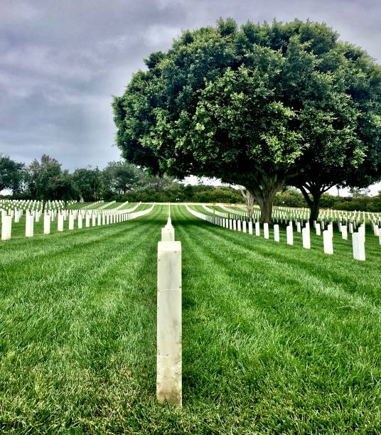 cemitério nacional fort rosecrans - arlington national cemetery virginia cemetery american flag - fotografias e filmes do acervo