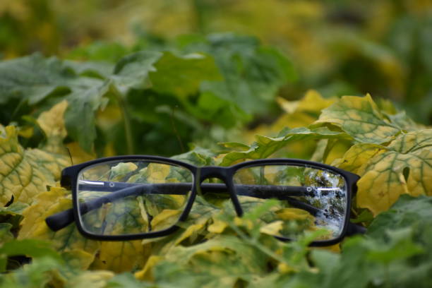 istock a pair of eyewears on grass 1247882590