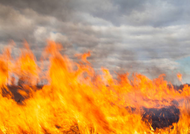 istock Big fire in the field 1247884142