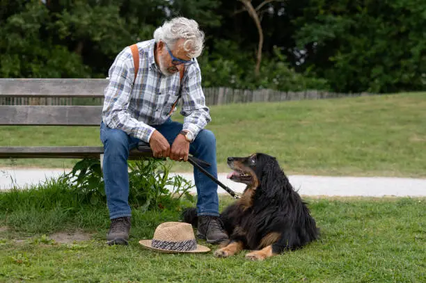 Sad old man sitting on a bench in a park next to his dog who is looking at him