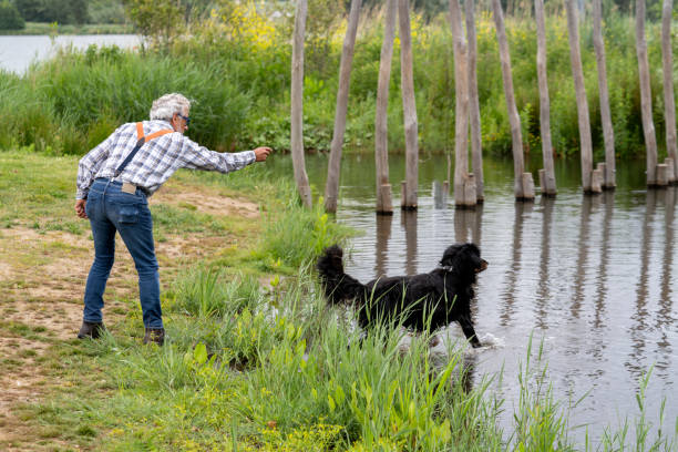 istock Senior Caucasian man throwing a stick in the water 1247886058