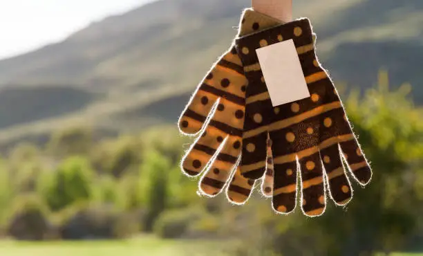 Photo of a nice pair of gloves on the national park patagonia