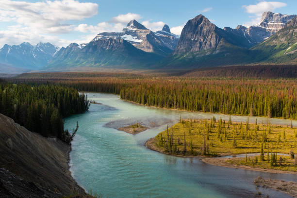 athabasca river - jasper national park imagens e fotografias de stock