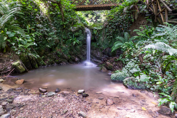 tahirli waterfall in akçakoca district, duzce, turkey - forest fire power actions nature imagens e fotografias de stock