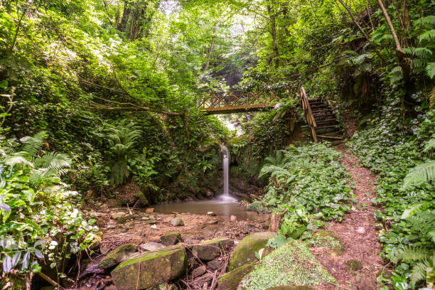 tahirli waterfall in akçakoca district, duzce, turkey - forest fire power actions nature imagens e fotografias de stock