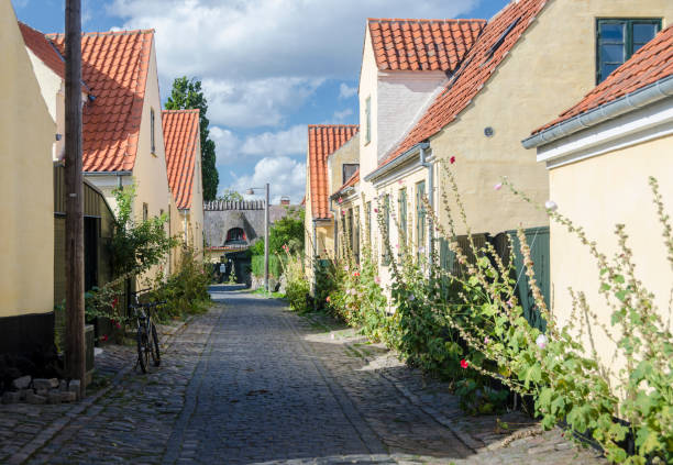 istock Ancient village of Dragor, Denmark 1247890934