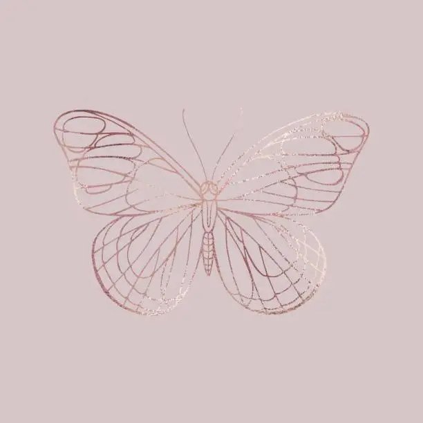 Vector illustration of Buttefly. Rose gold texture. Elegant illustration
