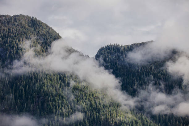 istock Hole in the Fog 1247895483