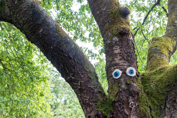 istock Funny tree with crochet yarn bombing eyes 1247896985