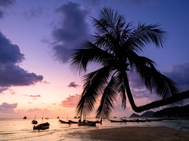 istock Koh Tao island sunset, Thailand 1247902422