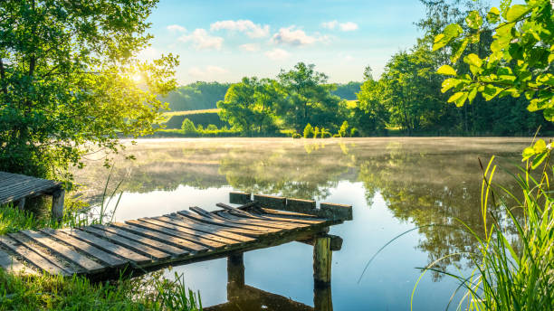 istock Fishing pier and fog 1247908334