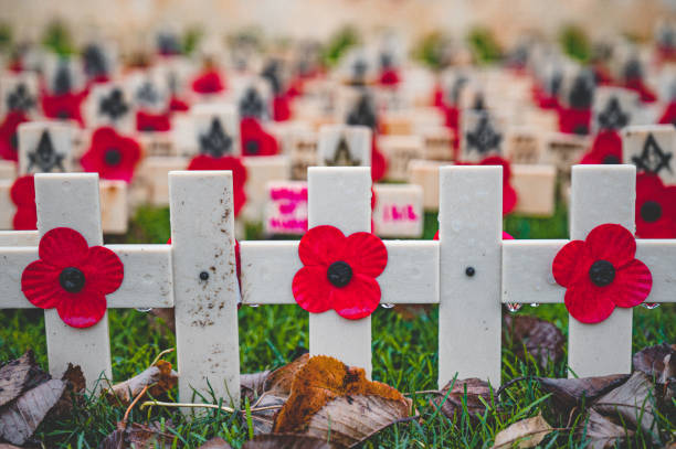 Close up of rows of plastic poppies on crosses in a Autumn/Winter atmosphere. By Scott Monument in Edinburgh in Scotland.