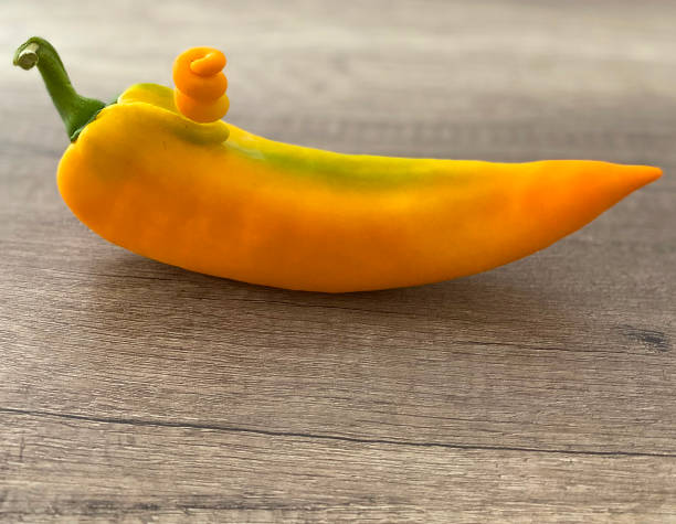 Paprika with own growth