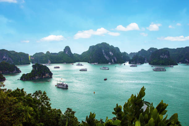 zatoka halong - halong bay vietnam bay cruise zdjęcia i obrazy z banku zdjęć