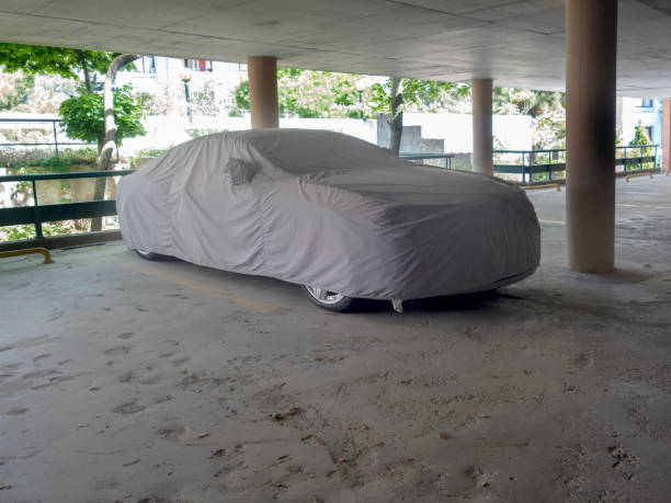 istock Protect the car in your covered garage 1247958764