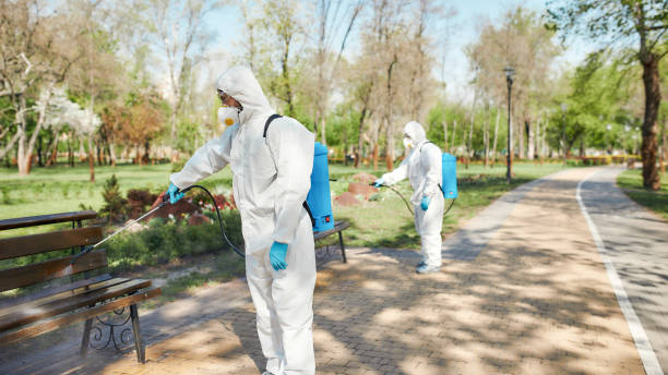 A healthier, cleaner city. Sanitization, cleaning and disinfection of the city park due to the emergence of the Covid19 virus. Specialized team in protective suits and masks at work Sanitization, cleaning and disinfection of the city park due to the emergence of the Covid19 virus. Specialized team in protective suits and masks at work. Horizontal shot. Web Banner biohazard cleanup stock pictures, royalty-free photos & images