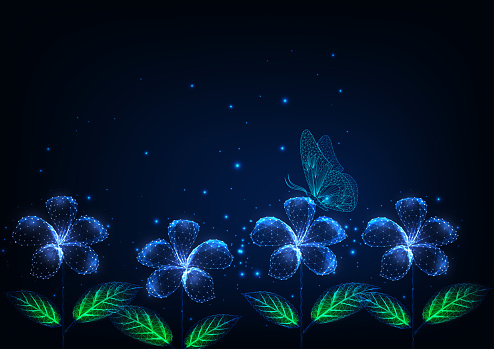 Futuristic glowing low polygonal beautiful flowers and butterfly at night landscape on dark blue background. Modern wire frame mesh design vector illustration.