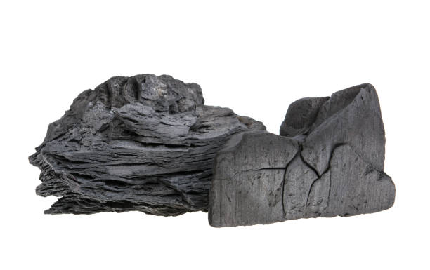 istock coal from hard wood on a white background, isolated. 1247965181