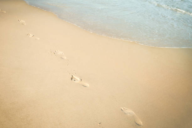 istock Footprints in sand on sea coast. Barefoot 1247965301