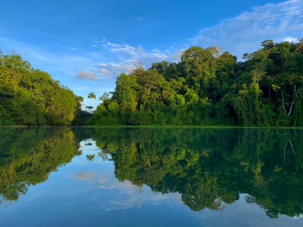 istock Beauty is in nature - Reflection time 1247970915