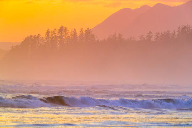 istock Vancouver Island British Columbia 1247974087