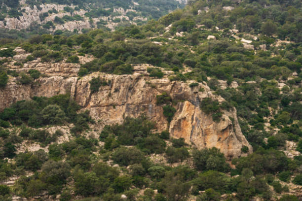 istock northern Tunisia, Djebel Bargou 1247978183