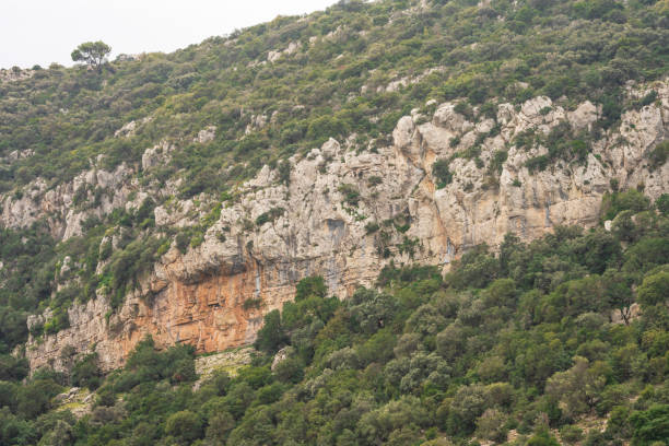 istock northern Tunisia, Djebel Bargou 1247978439