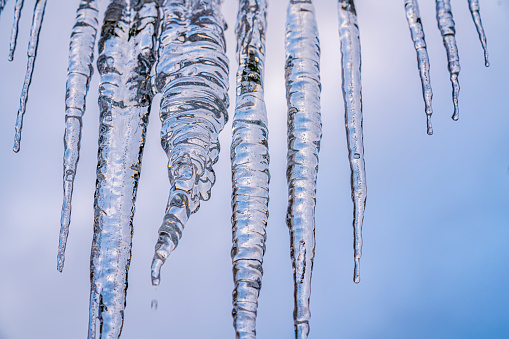 Close-up of a long double ice icicle against a winter bokeh background. A drop of water falls from the end of the icicle. Vertical.